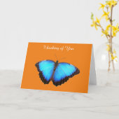 Get Well Card カード (黄色い花)