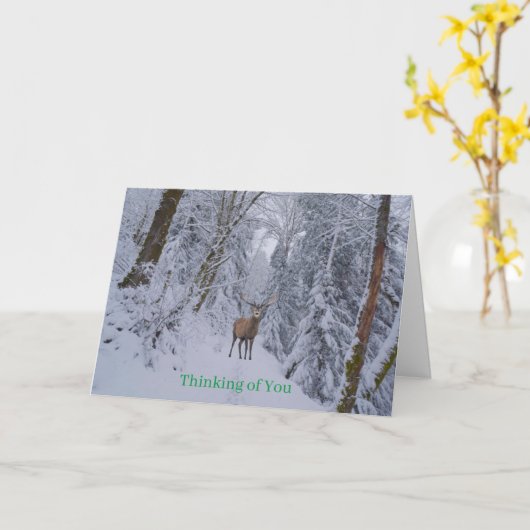Get Well Card カード (黄色い花)