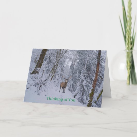 Get Well Card カード (正面)