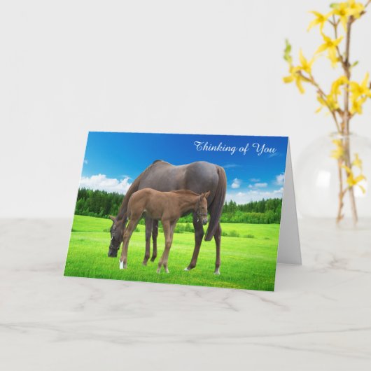 Get Well Card カード (黄色い花)