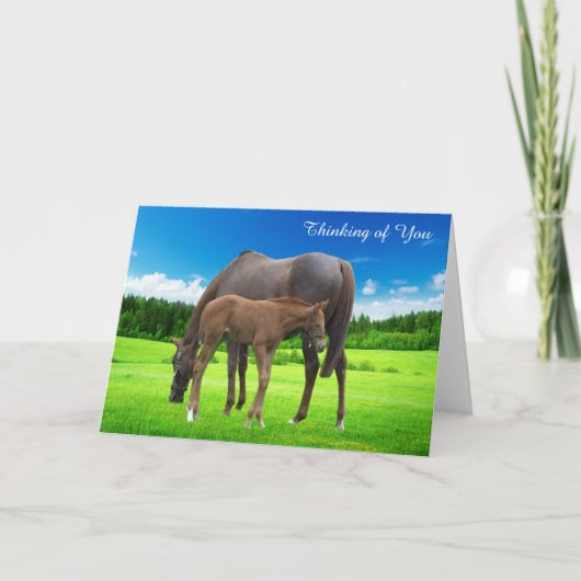 Get Well Card カード (正面)