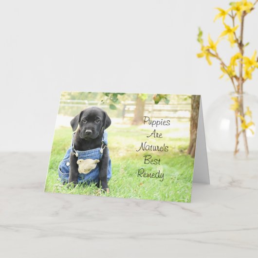 Get Well Card – 子犬は自然の治最高の療法 カード (黄色い花)