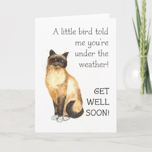 Get Well Card - Birman Cat カード (正面)
