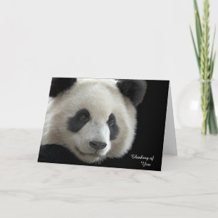 Get Well Card Panda カード
