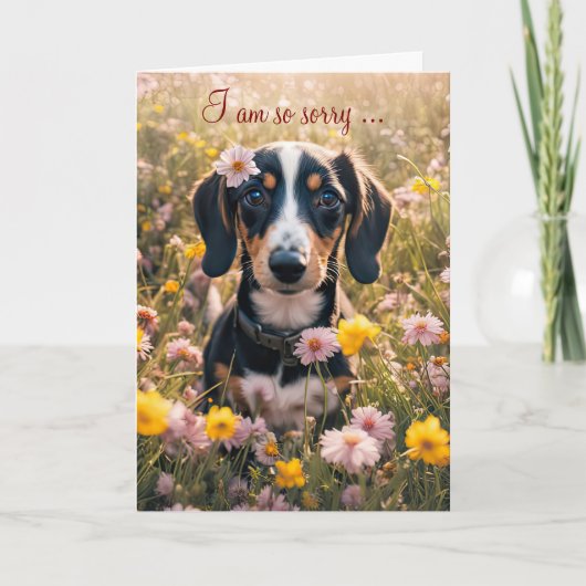 Get Well Feel Better Cute Dachshund Puppy  カード (正面)