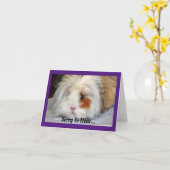 Get Well Guinea Pig Greeting Card カード (黄色い花)