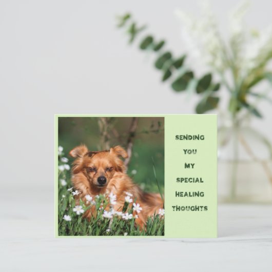 Get well - Healing - Gute Besserung ポストカード (スタンド正面)