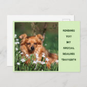 Get well - Healing - Gute Besserung ポストカード (正面/裏面)