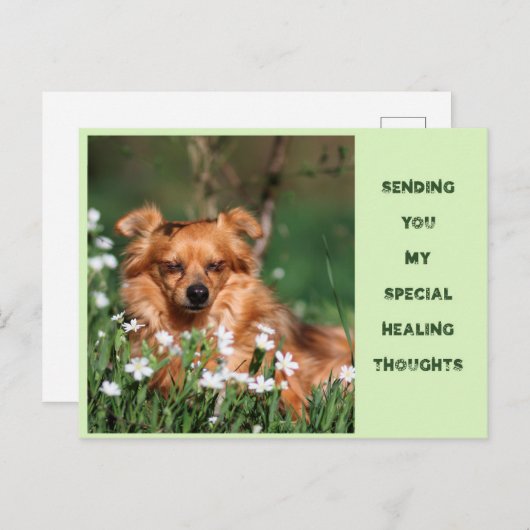 Get well - Healing - Gute Besserung ポストカード (正面/裏面)