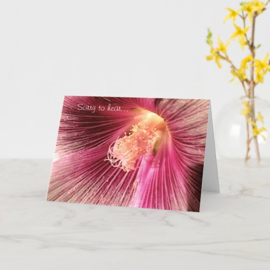 Get Well Pink Holly Hock Flower Card カード (黄色い花)