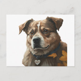 Get-well-soonカード ポストカード