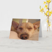 GET WELL SOON カード (黄色い花)