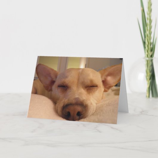 GET WELL SOON カード (正面)