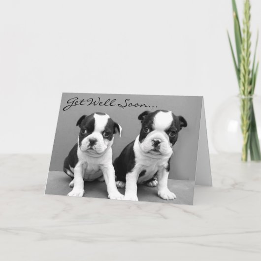 Get Well Soon Boston Terrier Puppiesカード カード (正面)