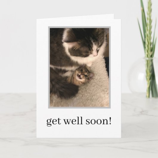 Get Well Soon Card - Cat Nursing Kitten Better カード (正面)