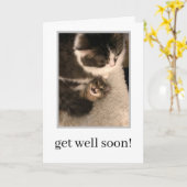 Get Well Soon Card - Cat Nursing Kitten Better カード (黄色い花)