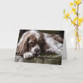 Get Well Soon Cocker Spaniel Dog on a Sofa カード (黄色い花)