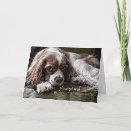 Get Well Soon Cocker Spaniel Dog on a Sofa カード