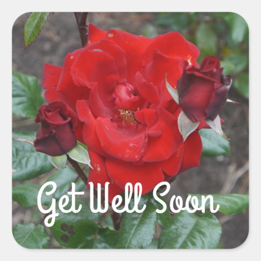 Get Well Soon Crimson Bouquetバラ#1シール スクエアシール (正面)