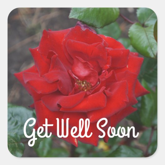 Get Well Soon Crimson Bouquetバラ#3シール スクエアシール (正面)