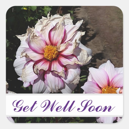 Get Well Soon Dahlia Edge of Joy #1シール スクエアシール (正面)