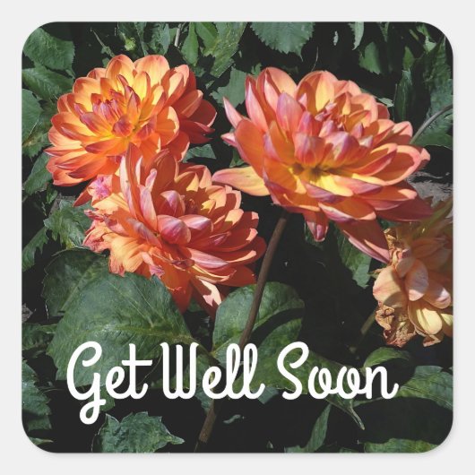 Get Well Soon Dahlia Pam Howden #1 Stickers スクエアシール (正面)