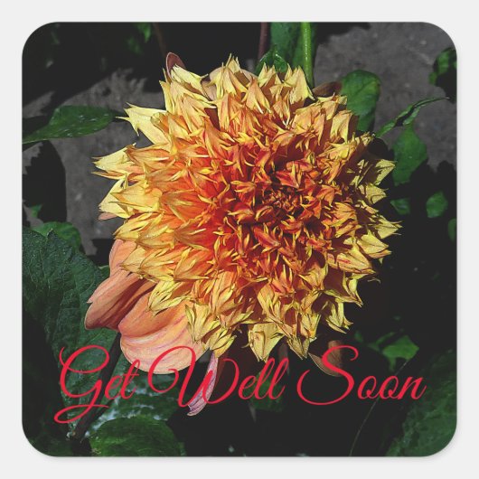 Get Well Soon Dahlia Sandia Brocade #1 スクエアシール (正面)