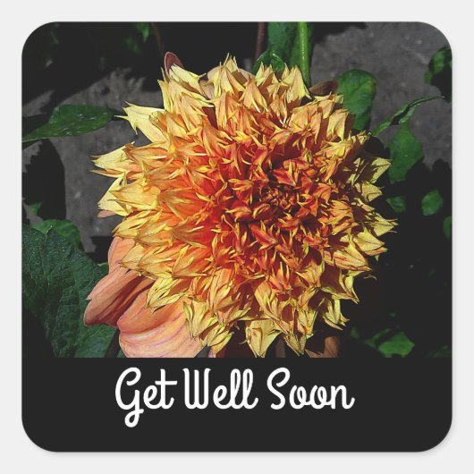 Get Well Soon Dahlia Sandia Brocade #1-2 Stickers スクエアシール (正面)