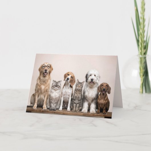 Get Well Soon Dogs and Cats  カード (正面)