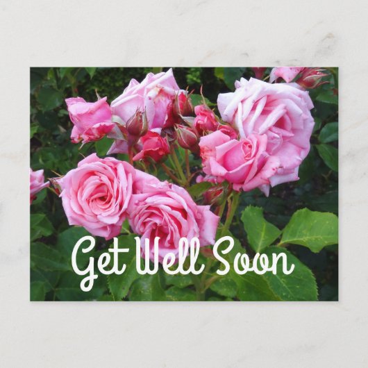 Get Well Soon Gene Boernerバラ#3はがき ポストカード (正面)