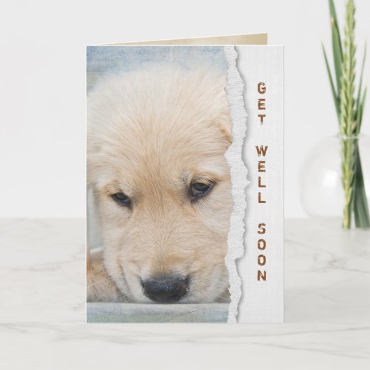 Get Well Soon Golden Retrieverの子犬 カード (正面)