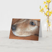 Get Well Soon Golden Retriever Peeking Under Door カード (黄色い花)