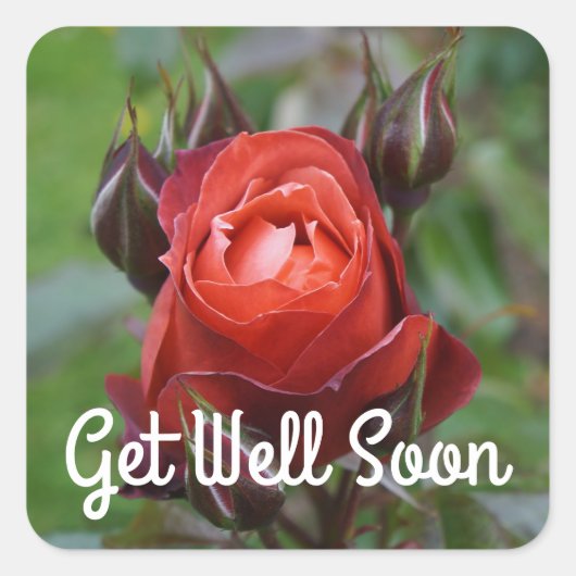 Get Well Soon Hot Cocoaバラ#1シール スクエアシール (正面)