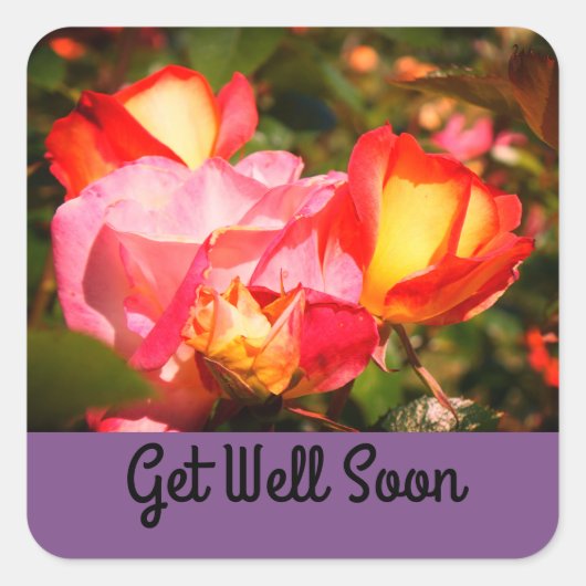 Get Well Soon Rainbow Sorbetバラ#2シール スクエアシール (正面)