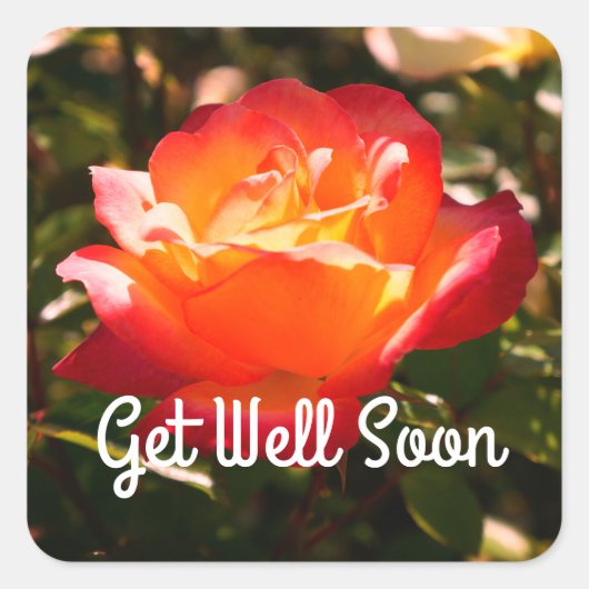 Get Well Soon Rainbow Sorbetバラ#5シール スクエアシール (正面)