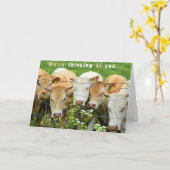 Get Well Soon  Ranch Farm Cattle Country Flowers カード (黄色い花)