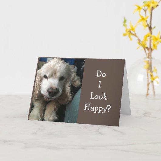 *GET WILL SOON" SAYS "SAD" DOGGIE CARD カード (黄色い花)