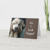 *GET WILL SOON" SAYS "SAD" DOGGIE CARD カード (正面)