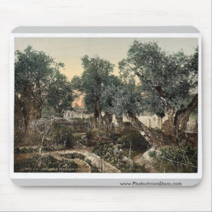 Gethsemane、エルサレムの聖地のクラシックの庭 マウスパッド