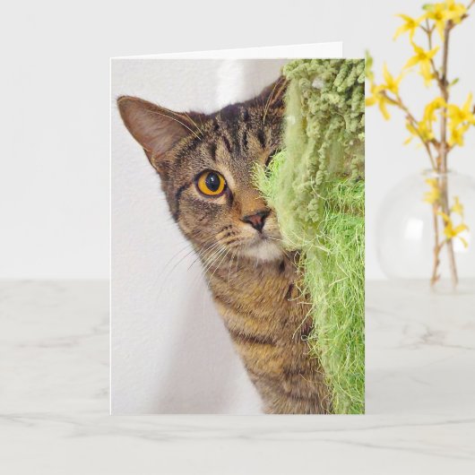 Getting Old誕生日 カード (黄色い花)