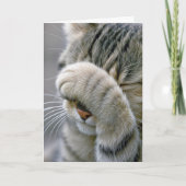 Getting Old Birthday Humor Tabby Cat  カード (正面)