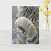 Getting Old Birthday Humor Tabby Cat カード (黄色い花)