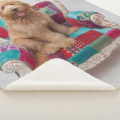 Gettyのイメージ|かわいいGoldendoodle シェルパブランケット (3/4)