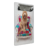 Gettyのイメージ|かわいいGoldendoodle ミニクリップボード (アングル)