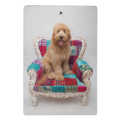 Gettyのイメージ|かわいいGoldendoodle ミニクリップボード (裏面)