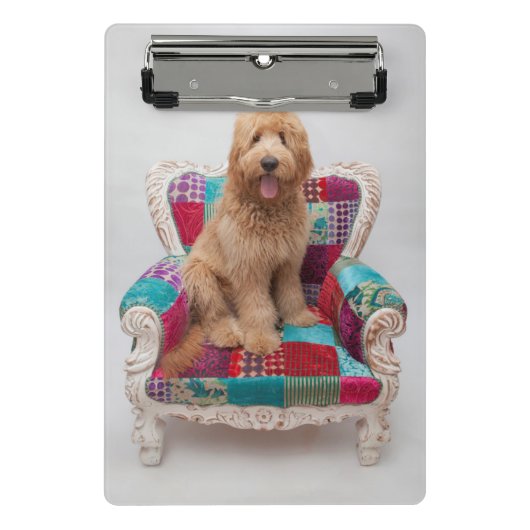 Gettyのイメージ|かわいいGoldendoodle ミニクリップボード (正面)
