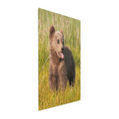 Gettyのイメージ|のおもしろいなベビーくま メタルプリント (3/4)