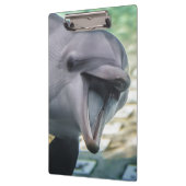 Gettyのイメージ|のイルカ クリップボード (左)