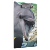 Gettyのイメージ|のイルカ クリップボード (右)