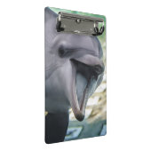 Gettyのイメージ|のイルカ ミニクリップボード (アングル)